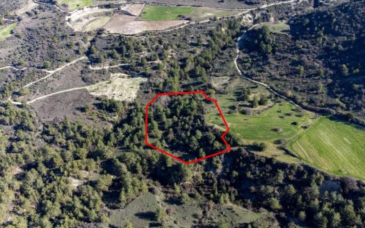 Field in Mousere, Paphos