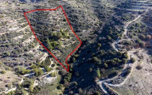 Field in Mousere, Paphos