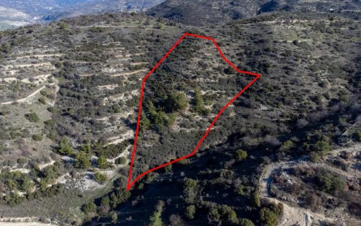 Field in Mousere, Paphos