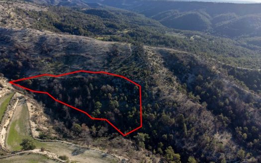 Field in Pano Archimandrita, Paphos