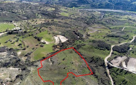 Field in Trachypedoula, Paphos