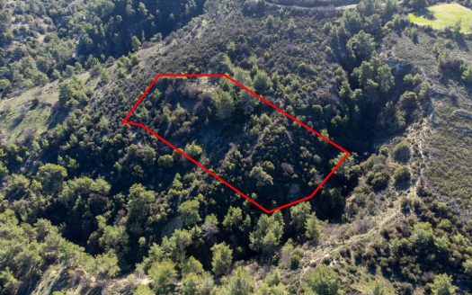 Field in Mousere, Paphos