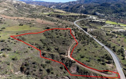 Shared field in Trachypedoula, Paphos