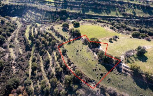 Field in Dora, Limassol