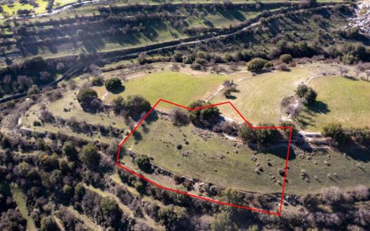 Field in Dora, Limassol