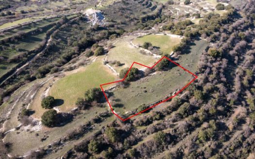 Field in Dora, Limassol