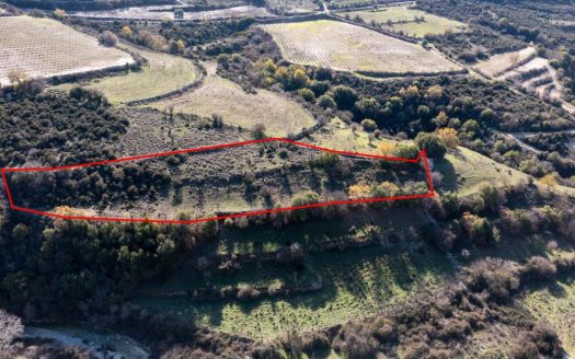 Field in Dora, Limassol