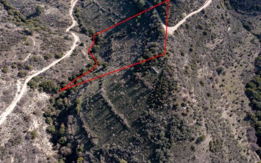 Field in Dora, Limassol