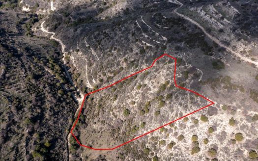 Field in Dora, Limassol