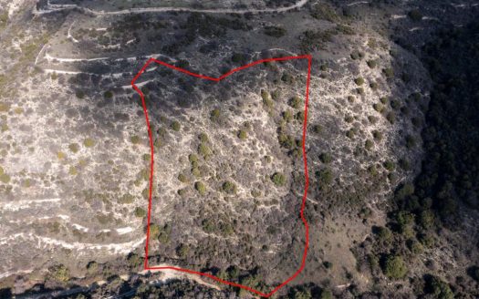 Field in Dora, Limassol