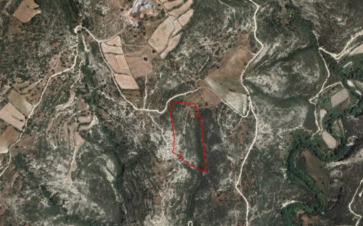 Field in Dora, Limassol