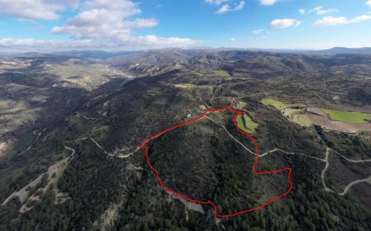 Shared field in Dora, Limassol