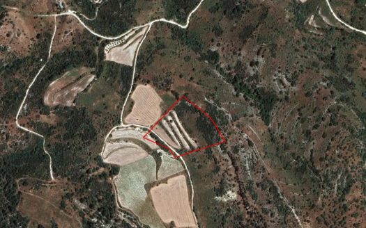 Field in Dora, Limassol