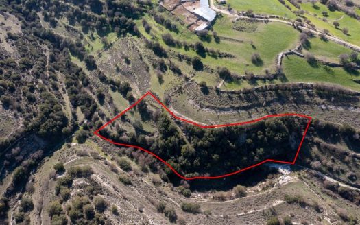 Field in Dora, Limassol