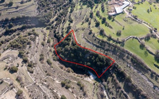 Field in Dora, Limassol