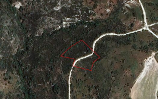 Field in Dora, Limassol