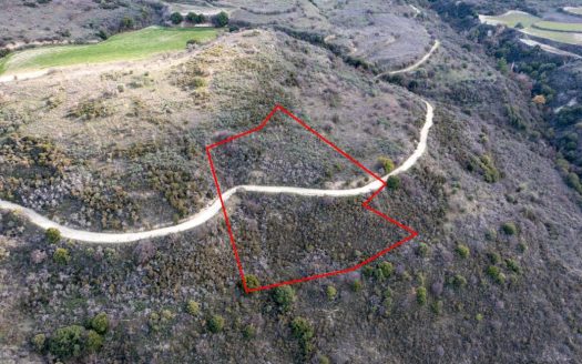 Field in Dora, Limassol