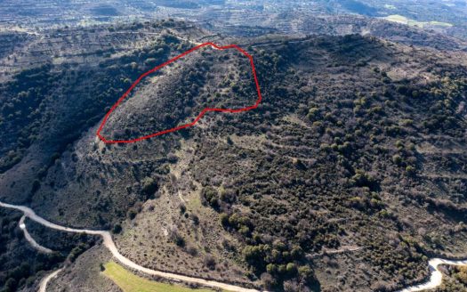 Field in Dora, Limassol