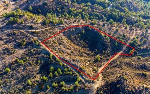 Agricultural field in Kynousa, Paphos