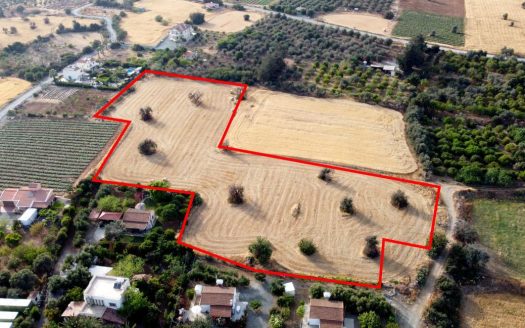 Field in Agios Theodoros, Larnaca