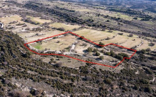 Field in Dora, Limassol