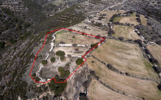 Field in Dora, Limassol