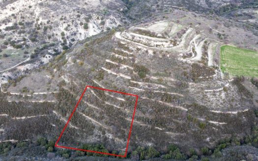 Field in Dora, Limassol