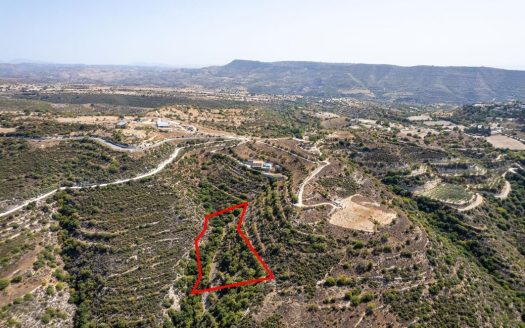 Field in Dora, Limassol