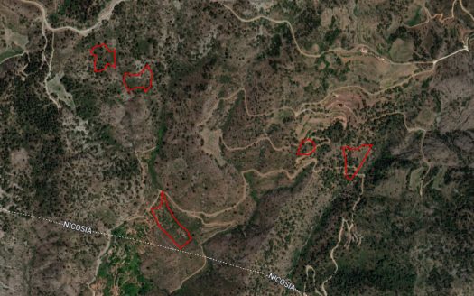 Five fields in Sykopetra, Limassol