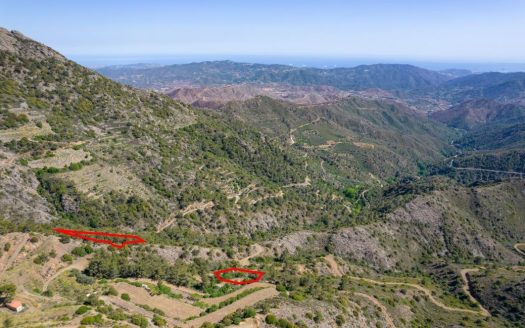 Five fields in Sykopetra, Limassol