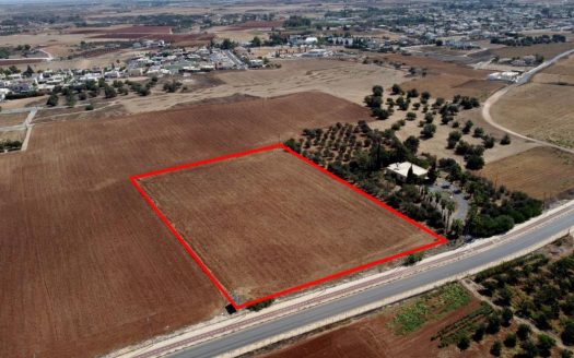 Shared residential field in Avgorou, Famagusta