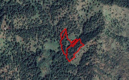 Agricultural field in Pigenia, Nicosia