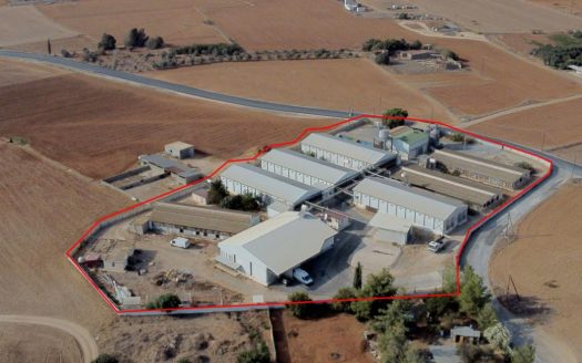 Farm in Xylotymvou, Larnaca