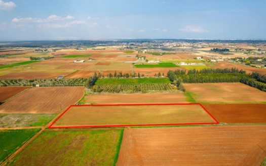 Agricultural field in Frenaros, Famagusta