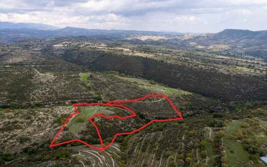 Fields in Dora, Limassol
