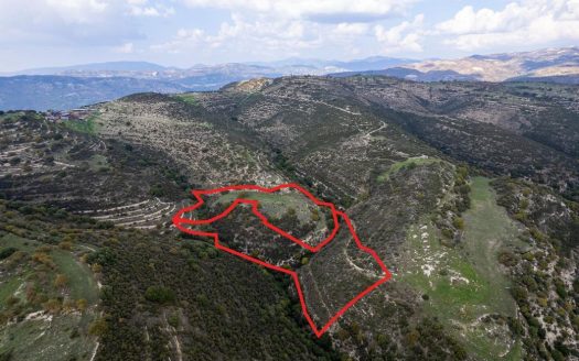 Fields in Dora, Limassol