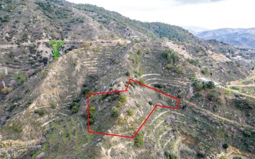Shared agricultural field in Zoopigi, Limassol