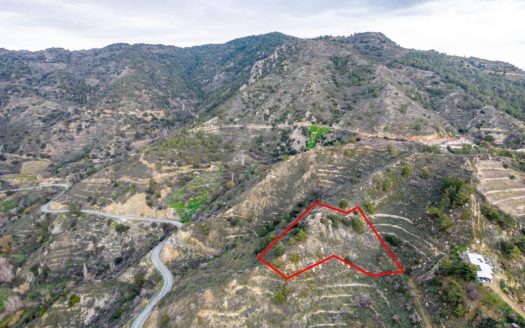 Shared agricultural field in Zoopigi, Limassol