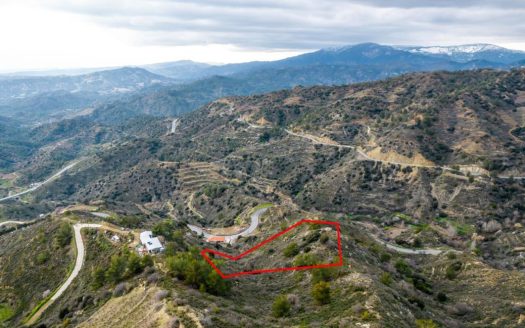 Shared agricultural field in Zoopigi, Limassol