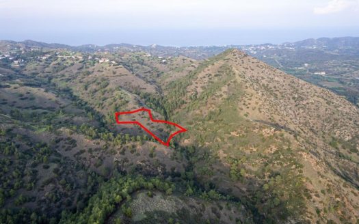 Shared agricultural field in Pigenia, Nicosia