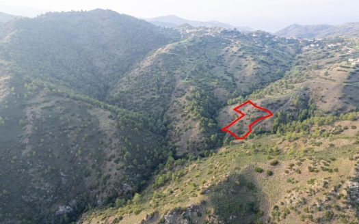 Shared agricultural field in Pigenia, Nicosia