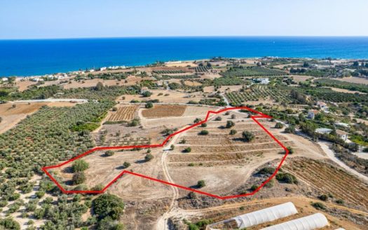 Residential field in Agios Theodoros, Larnaca