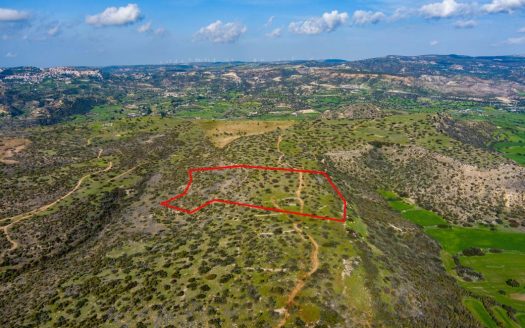 Touristic field in Pissouri, Limassol