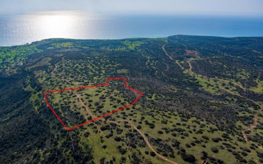 Touristic field in Pissouri, Limassol