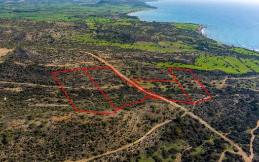 Touristic fields in Pissouri, Limassol