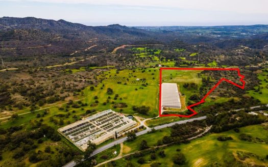 Field in Kornos, Larnaca