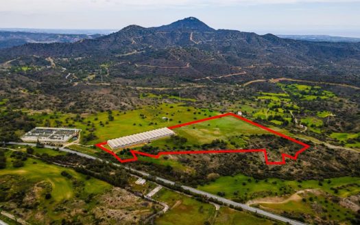 Field in Kornos, Larnaca