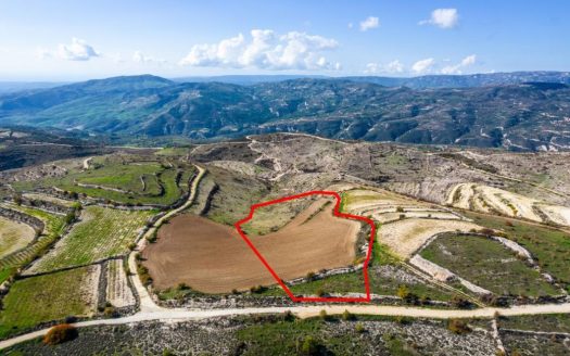 Field in Arsos, Limassol