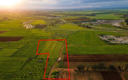 Agricultural field in Avgorou, Famagusta