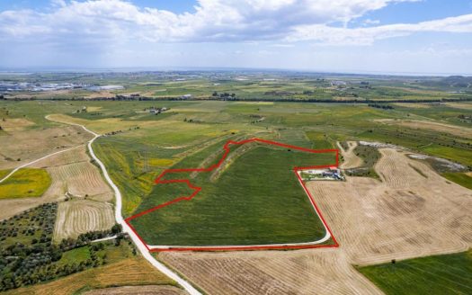 Agricultural field in Kalo Chorio, Larnaca